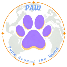 Pups Around the World