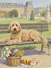 Pup resting on a bench with a picnic basket