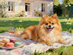 Provence - Macaron Picnic