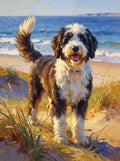 Staycation - Beach Walks